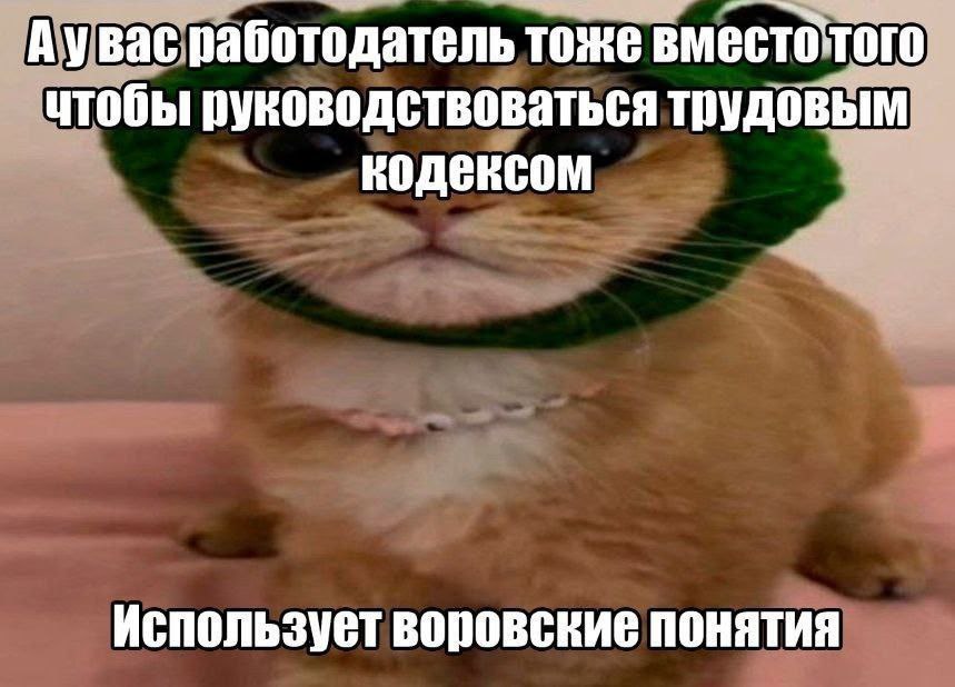 васработодатель тоже вместотого утобы руководствоваться трудовым кодексом Используетворовские понятия