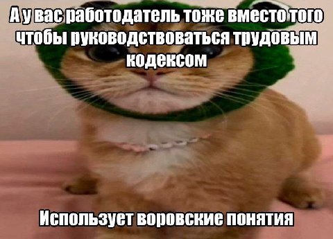 васработодатель тоже вместотого утобы руководствоваться трудовым кодексом Используетворовские понятия