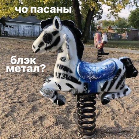 чопасаны блэк