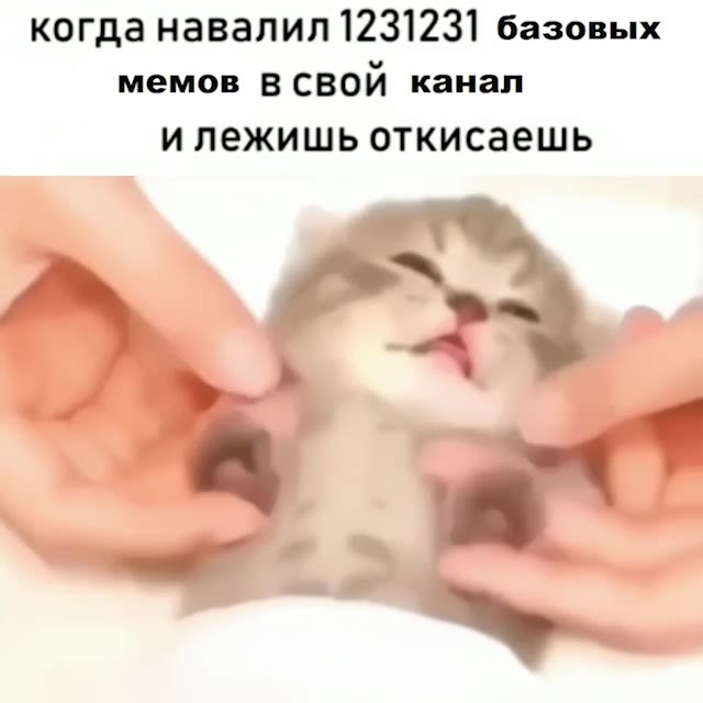 когда навалил 1231231 базовых мемов В СВОЙ канал и лежишь откисаешь