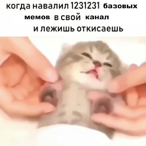 когда навалил 1231231 базовых мемов В СВОЙ канал и лежишь откисаешь