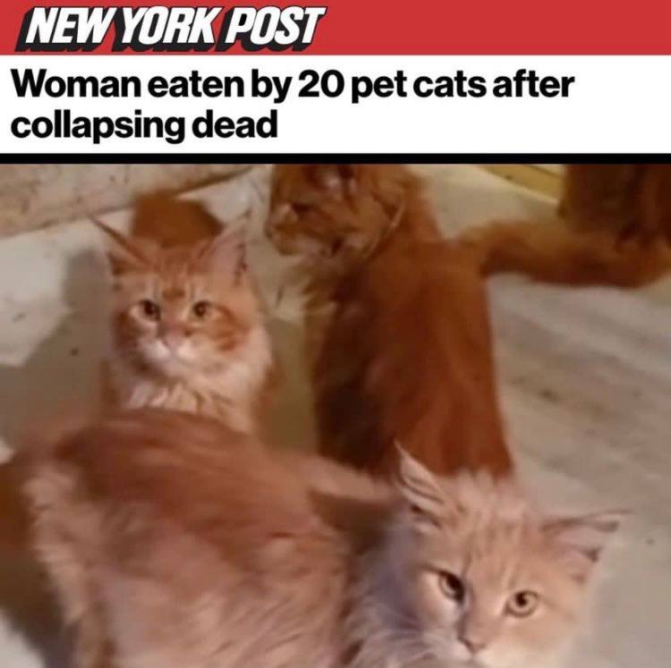 NEW YORK POST Woman eaten 20 pet cats after collapsing dead