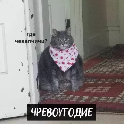 где чевапчич 6 1 ЕВОУГОДИЕ