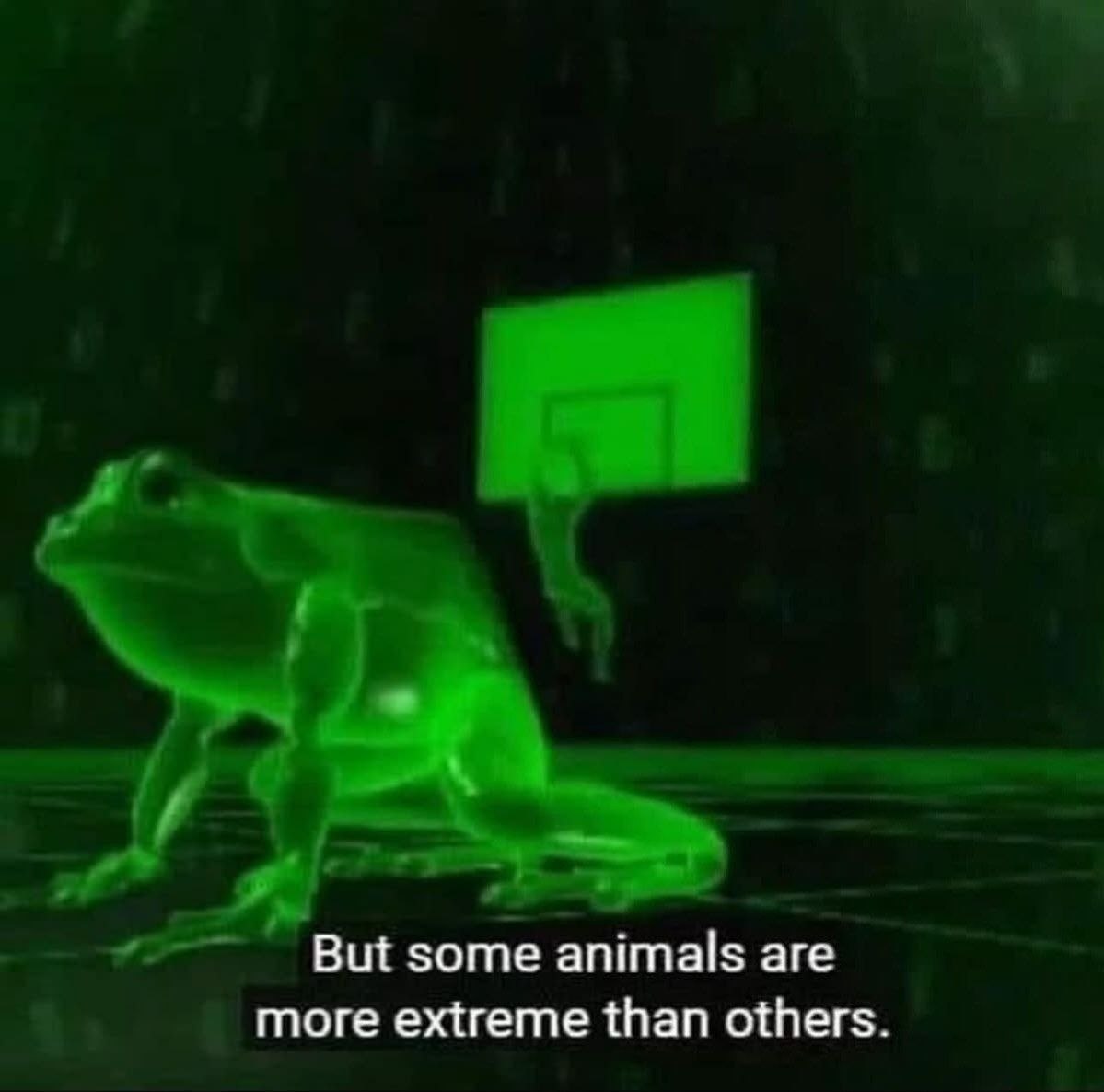 But some animals are more extreme than others.