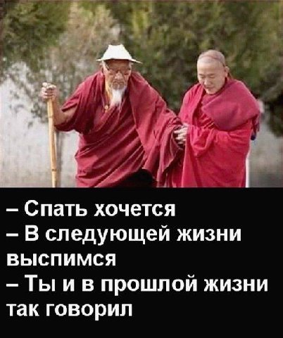Спать хочется В следующей жизни ВЫСПИМСЯ Ты и в прошлой жизни так говорил