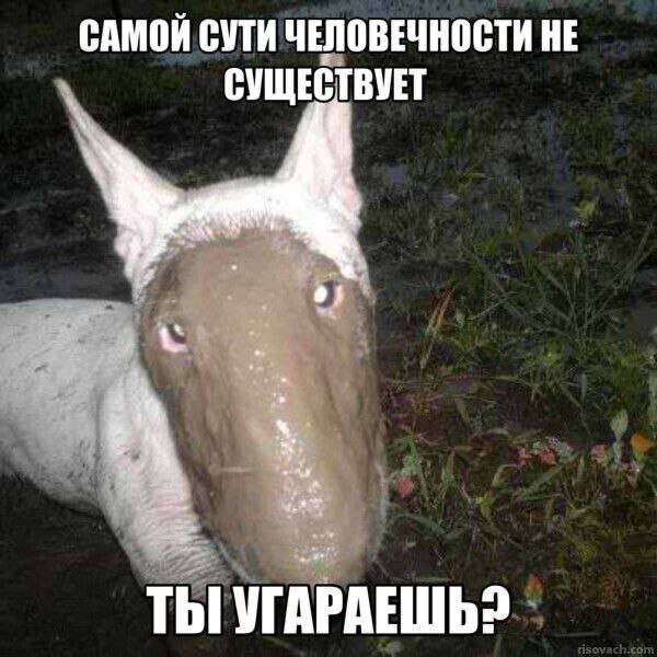 САМОЙ СУТИ ЧЕЛОВЕЧНОСТИ НЕ СУЩЕСТВУЕТ ТЫ УГАРАЕШЬ?