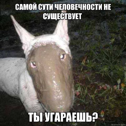 САМОЙ СУТИ ЧЕЛОВЕЧНОСТИ НЕ СУЩЕСТВУЕТ ТЫ УГАРАЕШЬ?