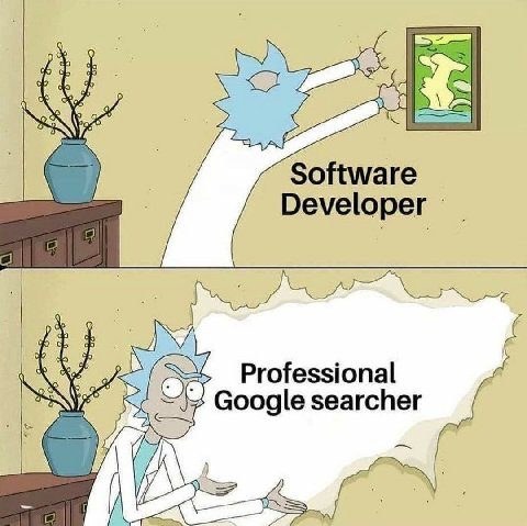 Software Developer Professional Google searcher