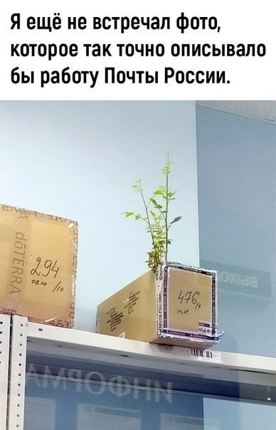 Я ещё не встречал фото, которое так точно описывало бы работу Почты России.