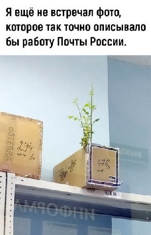 Я ещё не встречал фото, которое так точно описывало бы работу Почты России.