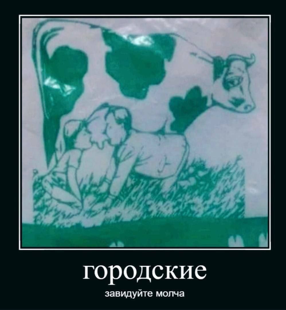 городские завидуйте молча