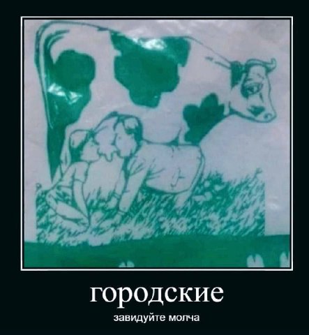 городские завидуйте молча