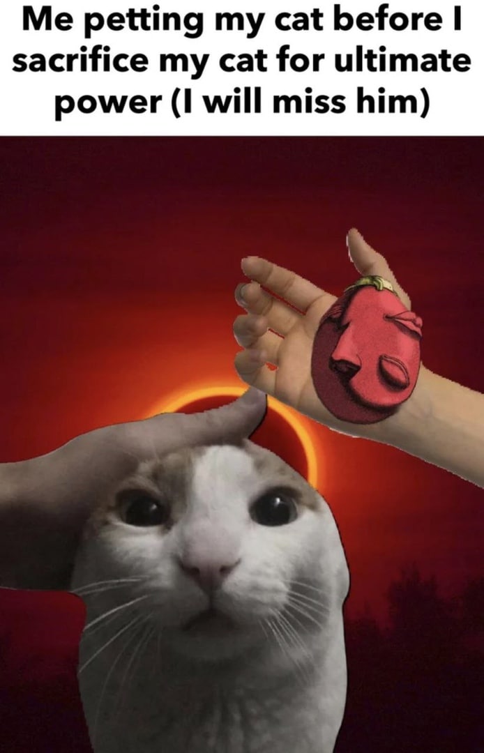 Me petting my cat before sacrifice my cat for ultimate power (1 will miss him)