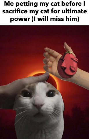 Me petting my cat before sacrifice my cat for ultimate power (1 will miss him)