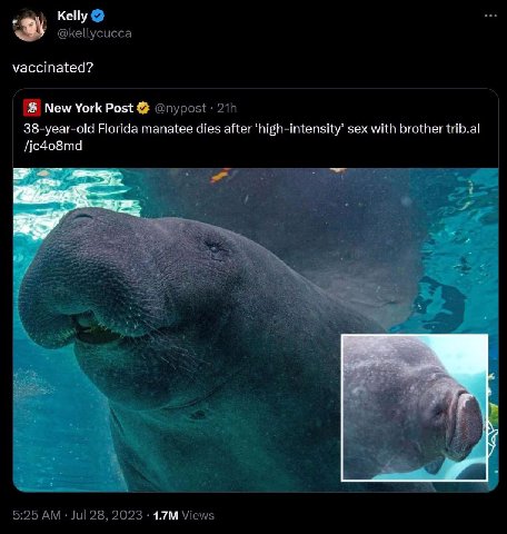 Kelly @kellycucca vaccinated? New York Post @nypost 38-year-old Florida manatee dies after ‘high-intensity’ sex with brother trib.al /jc408md WE, 5:25 Jul 28, 2023 Views