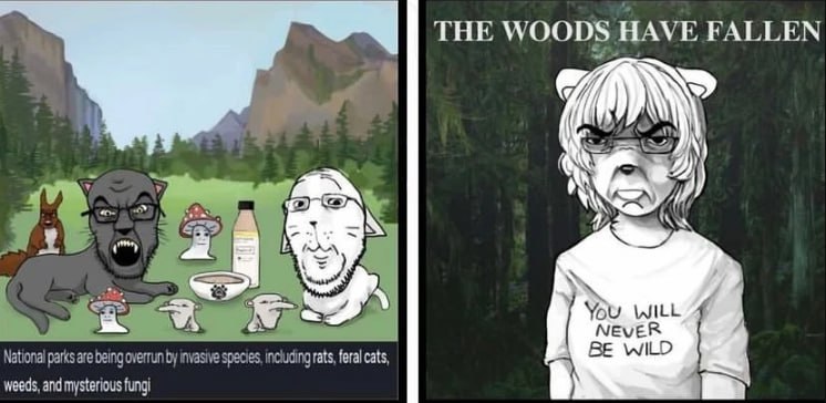 THE WOODS HAVE FALLEN 7 WILL NEVER National parks are being overrun invasive species, including rats, feral cats, BE WILD weeds, and mysterious fungi
