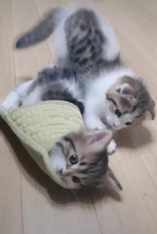 мем
