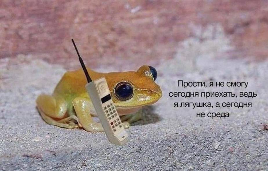 on Прости, Я не смогу сегодня приехать, ведь я лягушка, а сегодня a= 54