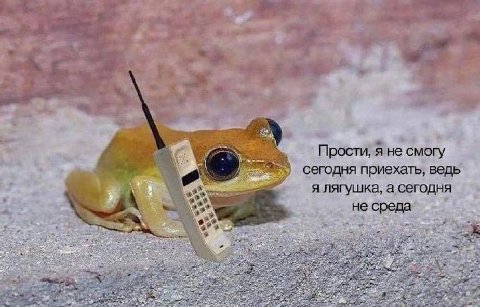 on Прости, Я не смогу сегодня приехать, ведь я лягушка, а сегодня a= 54