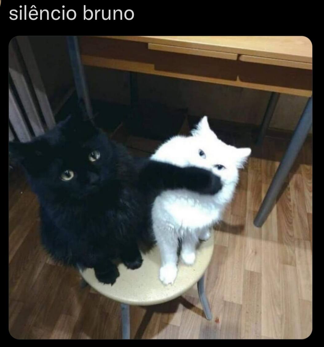 silencio bruno