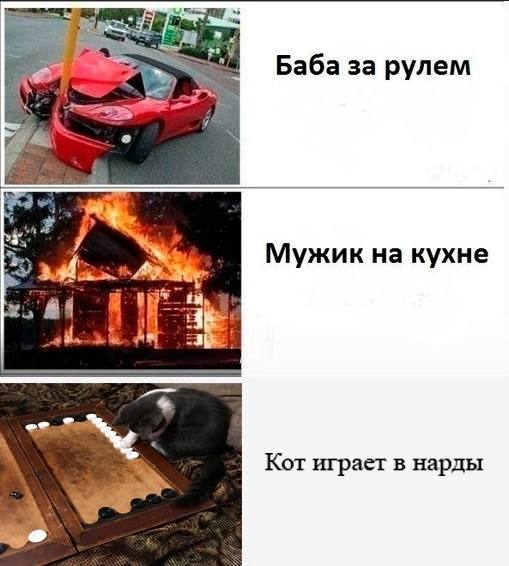 Ba6a 3a pynem Мужик на кухне Кот играет в нарды