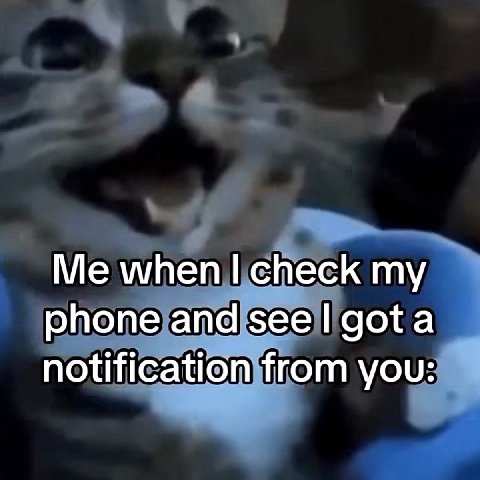 when check my phone and $ее gota notification from you: