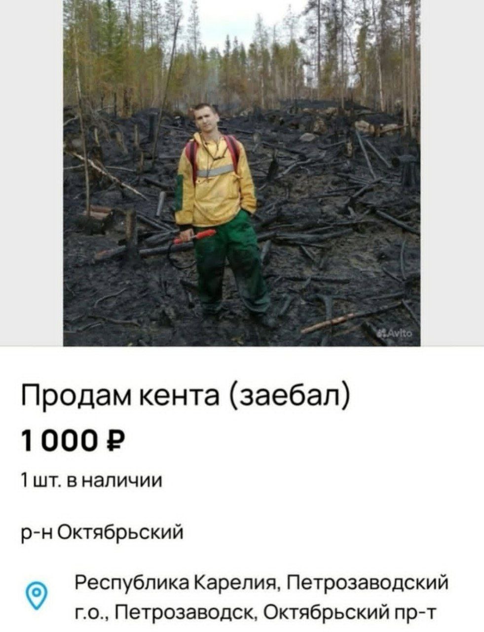 at Продам кента (заебал) 1000 1 вналичии Октябрьский Республика Карелия, Петрозаводский Петрозаводск, Октябрьский пр-т