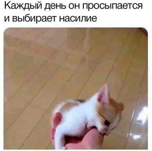 Каждый день он просыпается и выбирает насилие