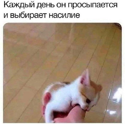 Каждый день он просыпается и выбирает насилие