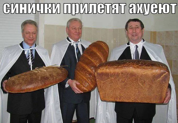 синички прилетят ахуеют i