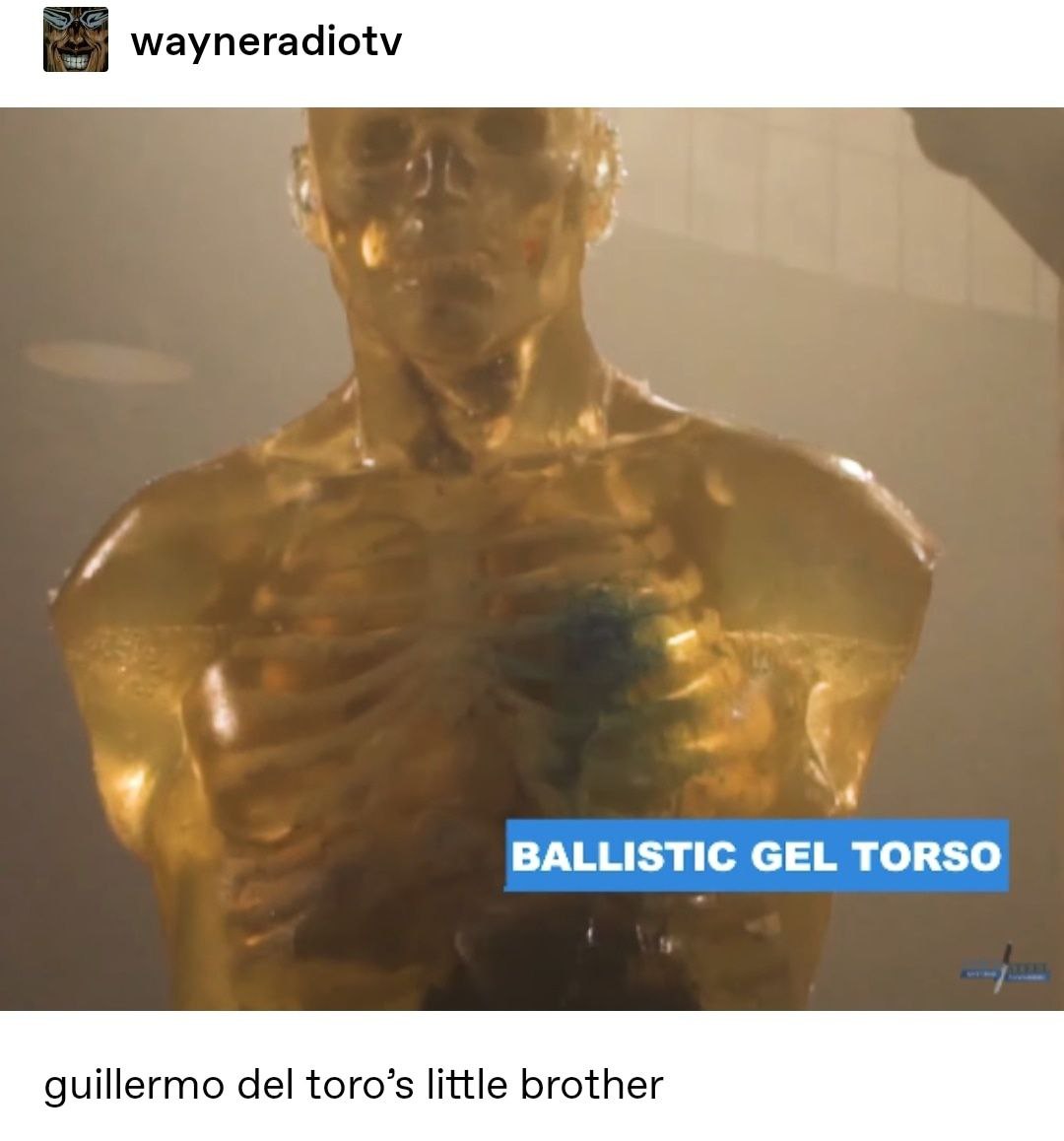 wayneradiotv 4 BALLISTIC GEL TORSO guillermo del toro’s little brother
