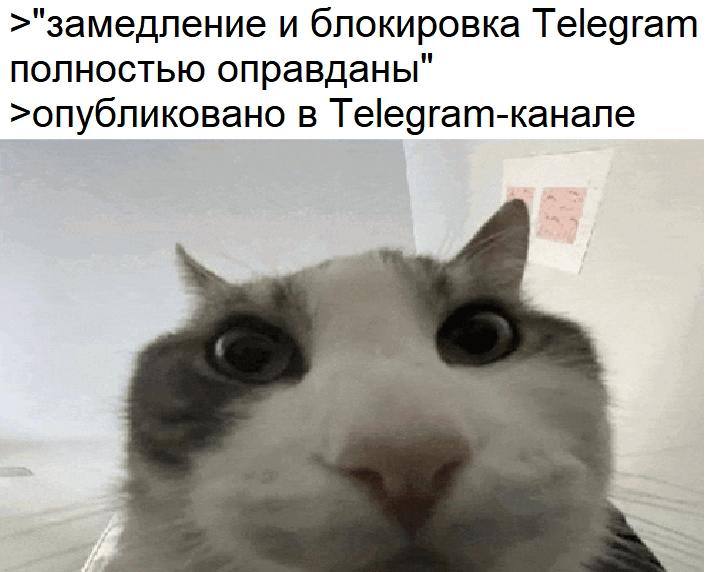 >"замедление и блокировка Telegram полностью оправданы" >опубликовано в Telegram-KaHane