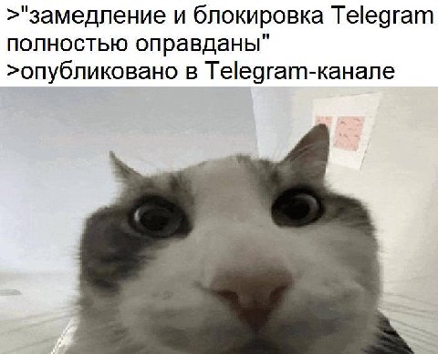 >"замедление и блокировка Telegram полностью оправданы" >опубликовано в Telegram-KaHane