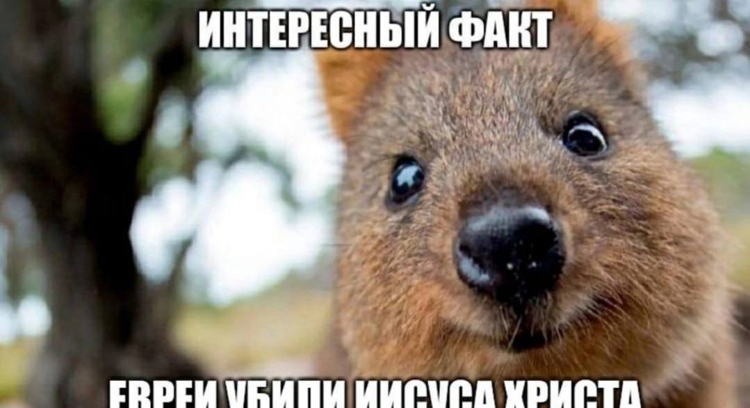 ИНТЕРЕСНЫЙ ФАКТ