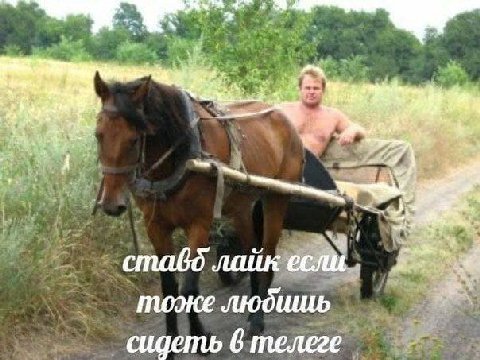 4 a ставд лайк если тоже людишь сидеть 6 телеге