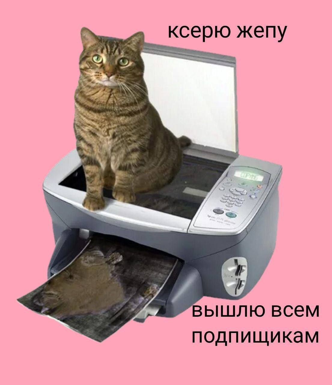 ‚2 Kcepto жепу вышлю всем подпищикам