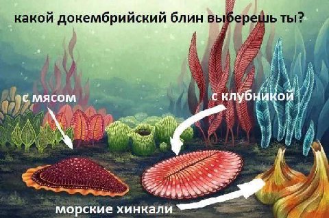 рыбалка на хинкали