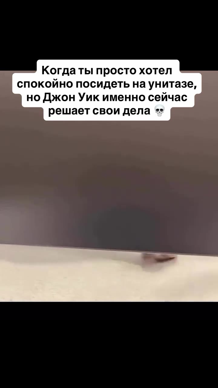 Когда ты просто хотел спокойно посидеть Ha унитазе, но Джон Уик именно сейчас ) решает свои дела **