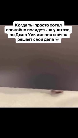 Когда ты просто хотел спокойно посидеть Ha унитазе, но Джон Уик именно сейчас ) решает свои дела **