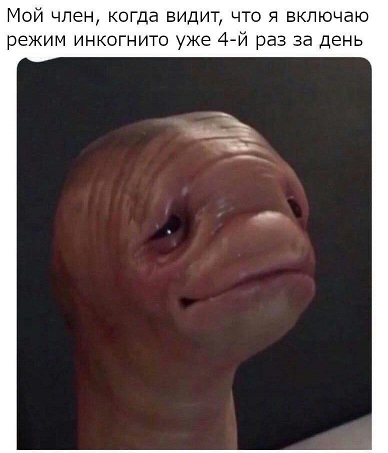 Мой член, когда видит, что я включаю режим инкогнито уже раз за день