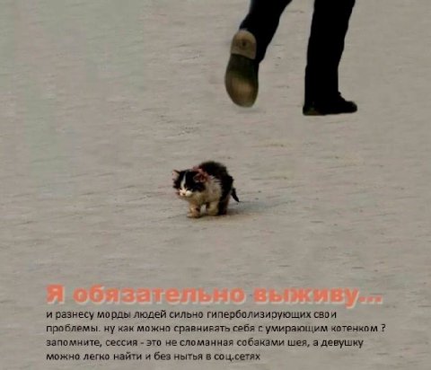 и разнесу морды людей сильно гиперболизирующих свои проблемы. ну как можно сравнивать себя с умирающим котенком запомните, сессия это не сломанная собаками шея, а девушку можно легко найти и без нытья
