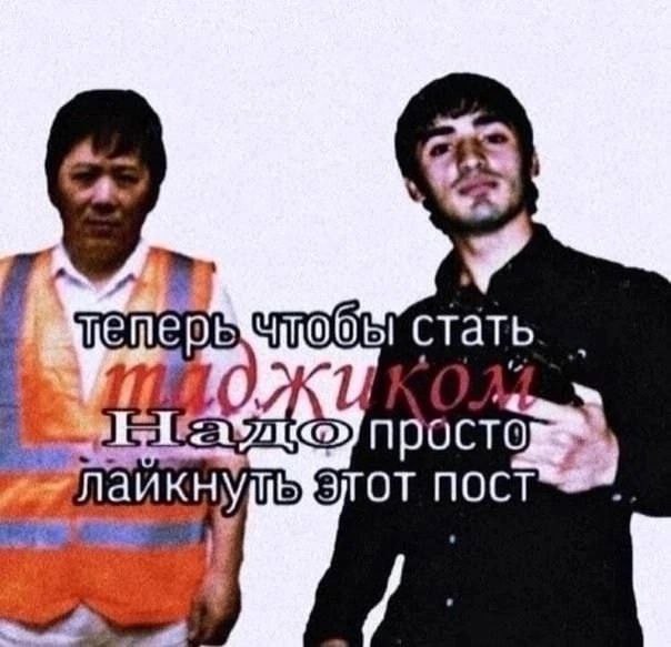 стать прост NOCT