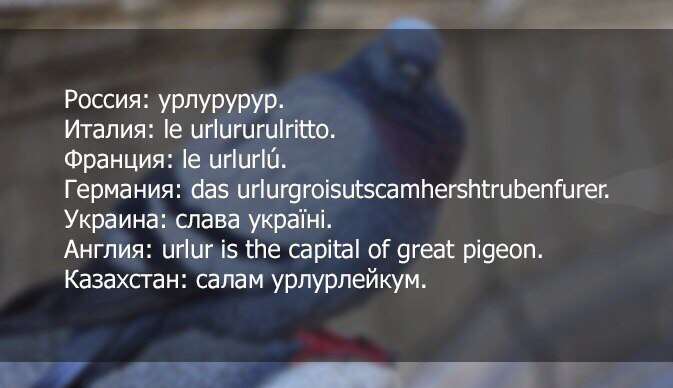 Россия: урлурурур. Италия: urlururulritto. Франция: urlurlu. Германия: das urlurgroisutscamhershtrubenfurer. Украина: слава Англия: urlur is the capital of great pigeon. Казахстан: салам урлурлейкум.