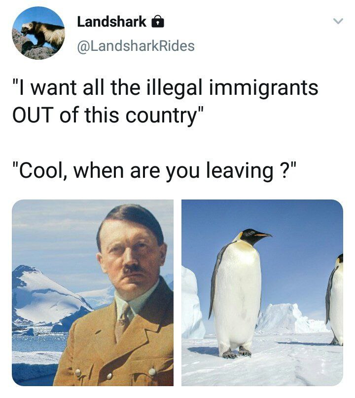Landshark @LandsharkRides want all the illegal immigrants OUT of this country" "Cool, when are you leaving