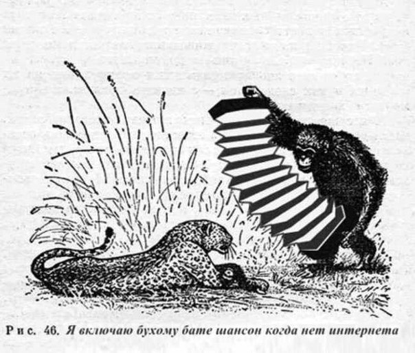 Whey if 277 [и 7, {2 Wes Рис. 46. Я включаю бухому бате шансон когда нет интернета