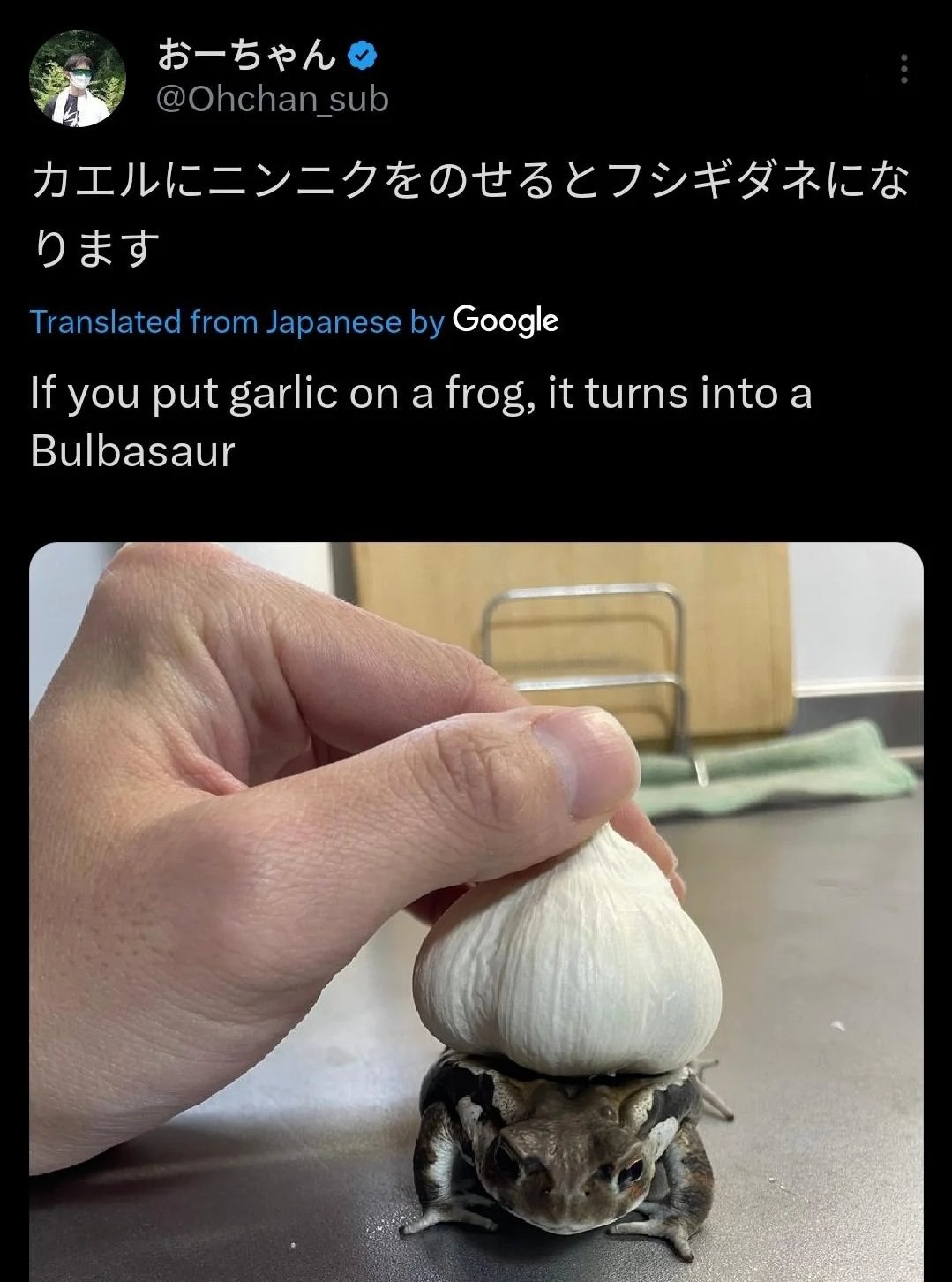 @Ohchan_sub DET Translated from Japanese Google If you put garlic on a frog, it turns into a Bulbasaur