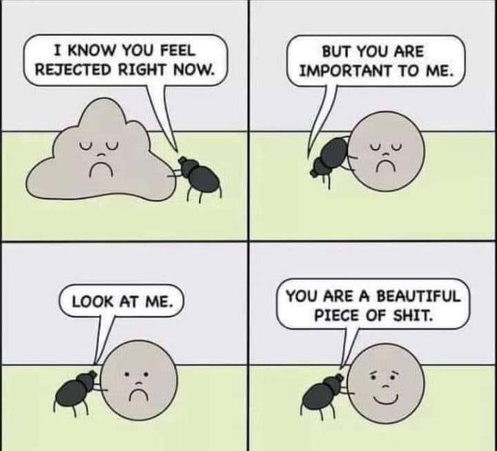 Мы