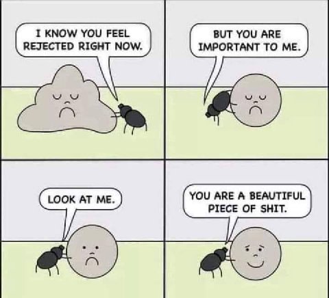 Мы