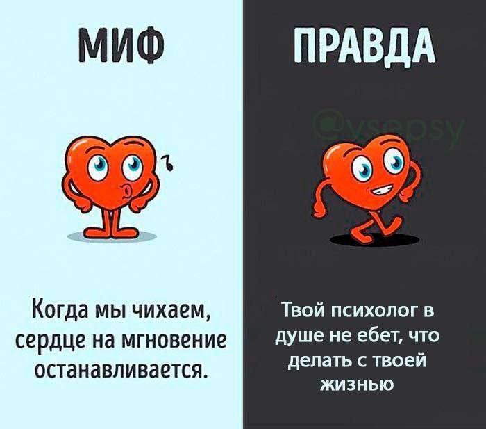 МИФ ПРАВДА Твой психолог в Когда мы чихаем, сердце на мгновение душе не ебет, что делать с твоей останавливается. ЖИЗНЬЮ
