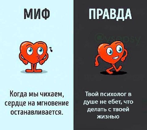 МИФ ПРАВДА Твой психолог в Когда мы чихаем, сердце на мгновение душе не ебет, что делать с твоей останавливается. ЖИЗНЬЮ